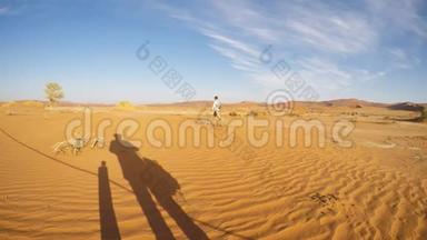 游客步行在风景秀丽的沙丘Sossusvlei，纳米布沙漠，纳米布诺克洛夫特国家公园，纳米比亚。